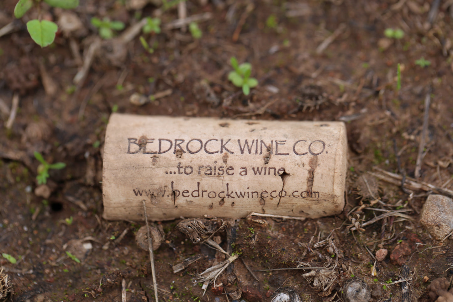 Morgan Twain-Peterson MW of Bedrock Wines