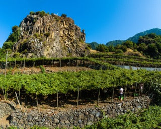 Hot, Old & Delicious: A Deep Dive into Madeira