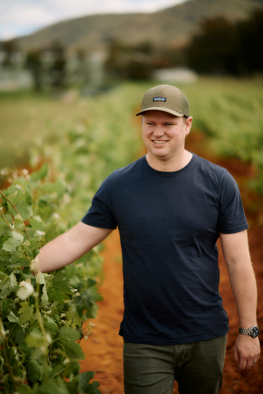 Tyrrell Wines: Semillon and Beyond!