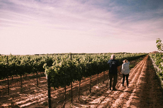 Texas Winegrowers Panel - Monday November 9th @ 11 am