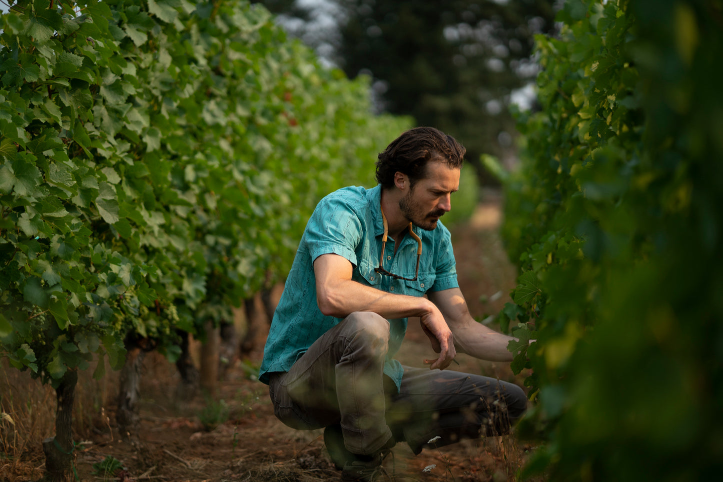 Martin Woods with Vigneron Evan Martin- "The Quiet Power of Oregon Terroir"