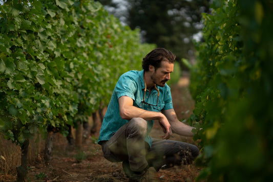 Martin Woods with Vigneron Evan Martin- "The Quiet Power of Oregon Terroir"